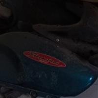 freewind suzuki