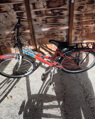 bici cobran 