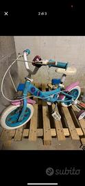 Bici frozen