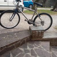 Mountain bike ragazzo in alluminio