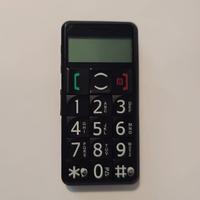 Cellulare per anziani Anycool Enjoy W02