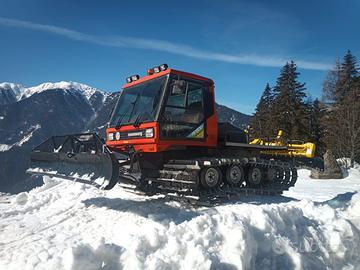 GATTO DELLE NEVI KÄSSBOHRER