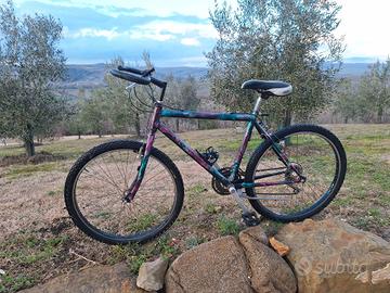 bicicletta