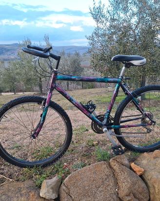 bicicletta