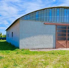 Capannone 200mq, categoria D1