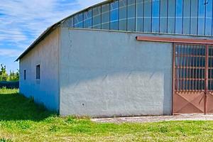 Capannone 200mq, categoria D1