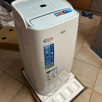 Condizionatore - pinguino