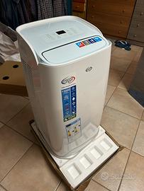 Condizionatore - pinguino