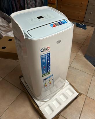 Condizionatore - pinguino