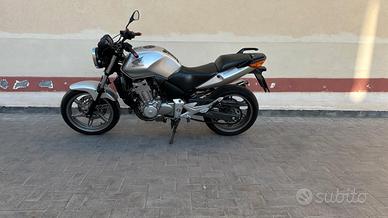 Honda CBF 500 - 2005