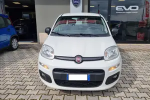 FIAT Panda 1.3 MJT 95 CV S&S Easy