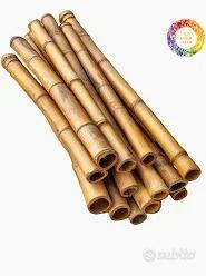 Canne di bambu'