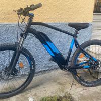 Bici elettrica