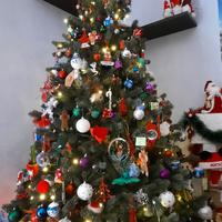 Albero di Natale Tirolo alto 2,10 m 