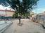 Immagine 19