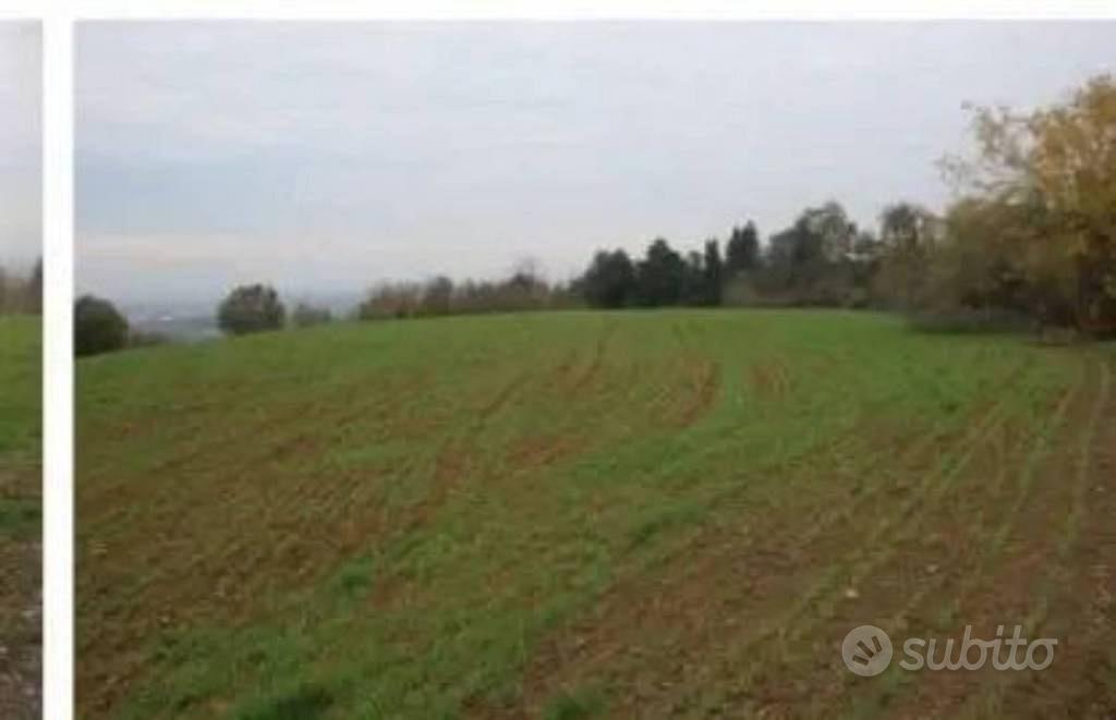 Immobile in asta di 31128 m² a Forlì - Vista 4