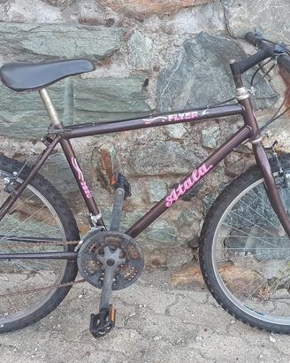 mountain bike 26