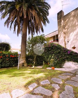 3 LOCALI A ANZIO