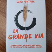 La grande via Franco Berrino Luigi Fontana