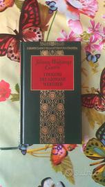 Libro I Dolori del giovane Werther di Goethe nuovo