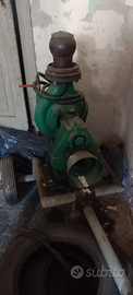 Motopompa Bertolaso tipo D2/80