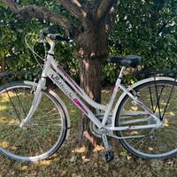 Bici Bottecchia Trecking