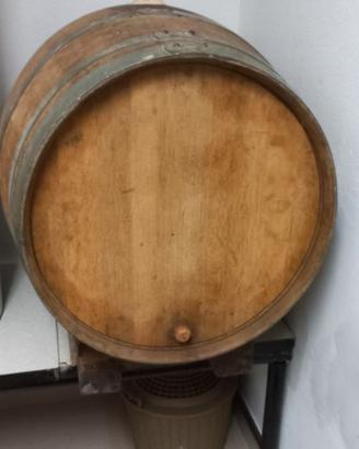 Botte per vino in legno di rovere