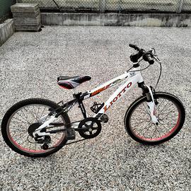 Bicicletta Liotto in alluminio con ruote da 20"