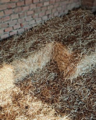 Paglia e fieno in ballette