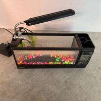 Acquario