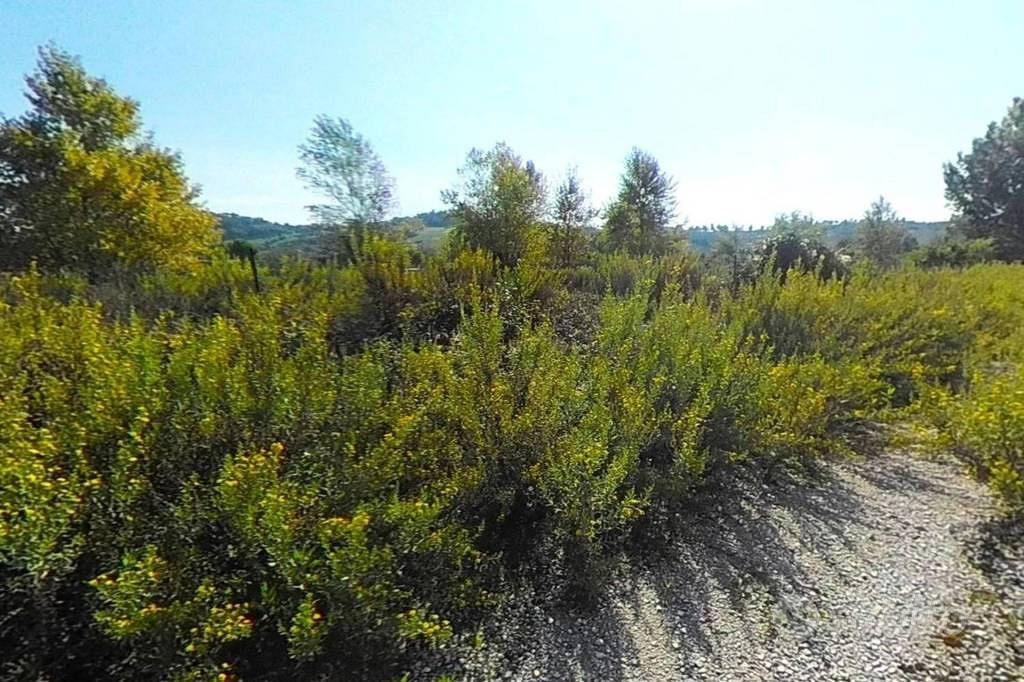 Immobile in asta di 5280 m² a Recanati - Vista 4