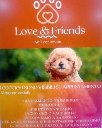 Animali