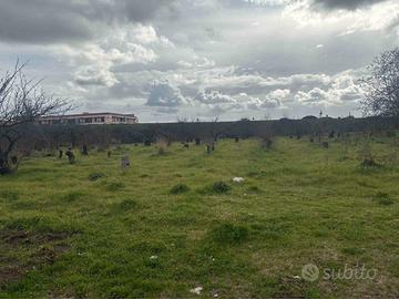 Terreno industriale