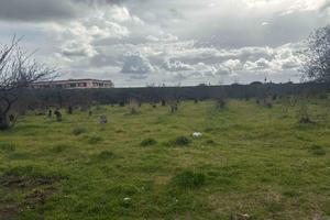 Terreno industriale