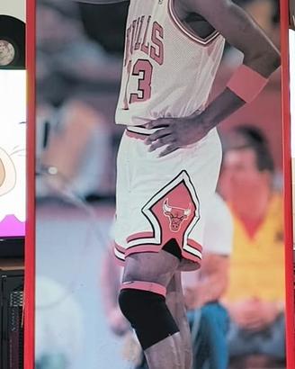 Poster Jordan nba
