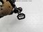 Immagine 8
