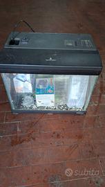 Acquario