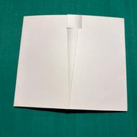 Scheda telefonica in folder