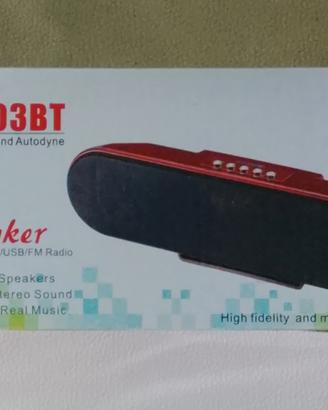 Cassa bluetooth 