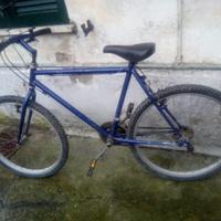 Bicicletta