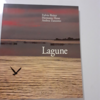 Libro Lagune di Roiter, Hesse, Zanzotto. Marsilio