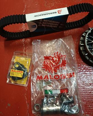 cinghia rulli variatore Tmax