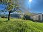 Immagine 21