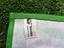 Immagine 5