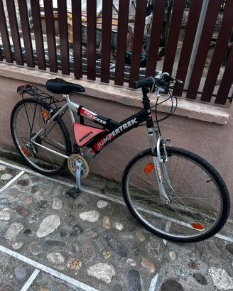 Bicicletta uomo