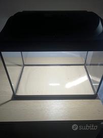 Acquario 30l