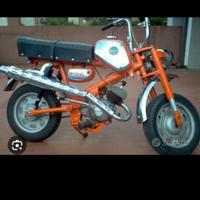 benelli mini bike 