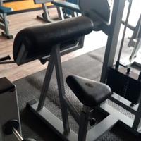 Bicipiti macchine Panatta Sport