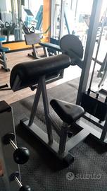 Bicipiti macchine Panatta Sport