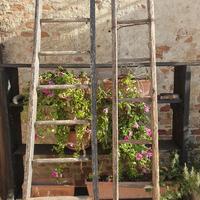 Antiche scale legno a pioli